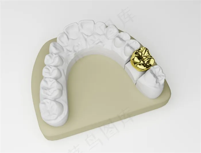 牙齿与修牙工具图片