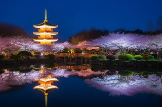 公园夜景发光的宝塔倒映在湖水里摄影图