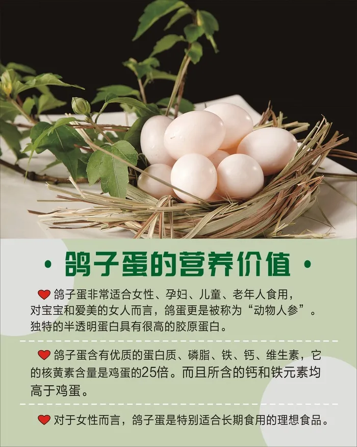 鸽子大全展板2cdr矢量模版下载