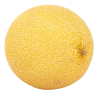 47_melon_PNG14372