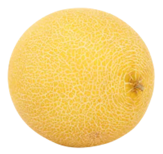 47_melon_PNG14372