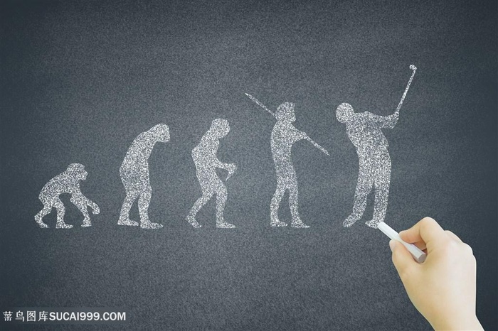 黑板上的人类进化史