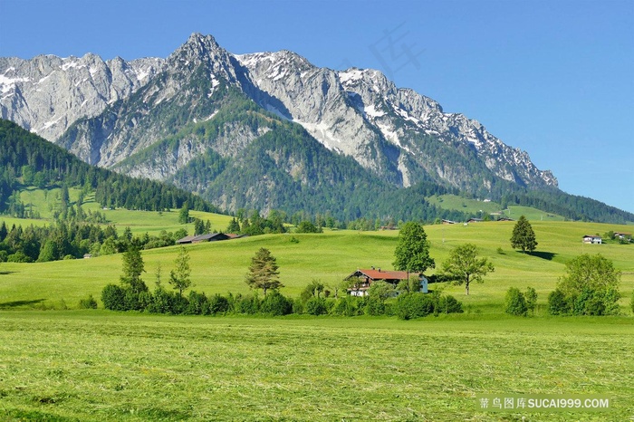 山脚下美丽的草原绿草地风景图片