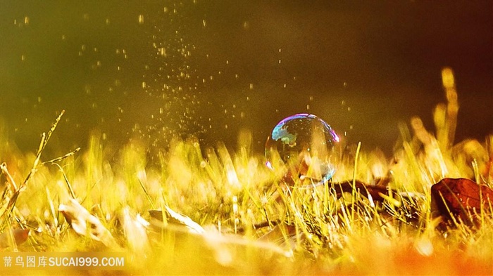 午后梦幻泡泡
