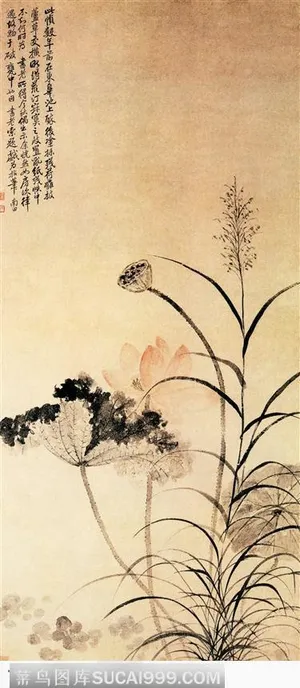 山水画—荷花