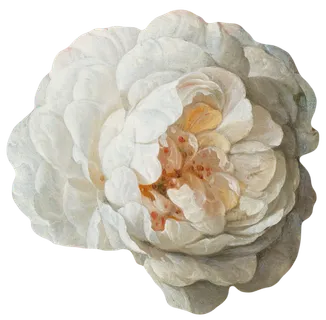 复古油画质感宫廷花卉植物花朵鲜花拼贴图案PNG免抠图片设计素材