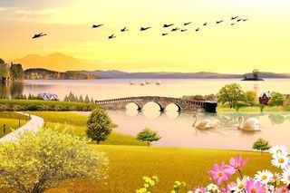 晚霞 大雁 天鹅 鹅 树 桥 房子 湖泊 湖 花 野花 草地 路