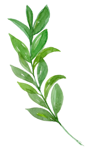 唯美森系手绘水彩花朵 免抠