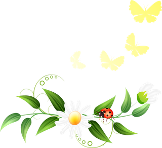 绿植花朵春季素材谷雨