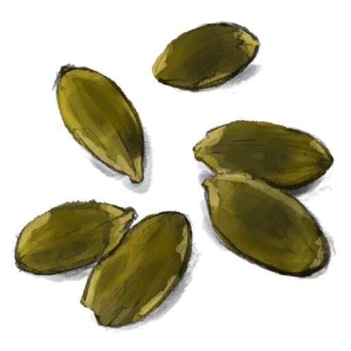 南瓜子 PNG免抠(600x600)