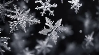 雪花白雪冬天摄影图