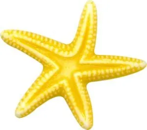 海星 PNG免抠(300x265)