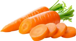 免扣胡萝卜素材