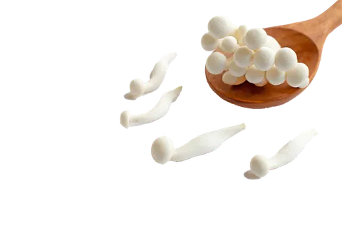 海鲜菇 (2)超市商品白底图免抠实物摄影png格式图片透明底