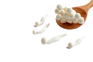 海鲜菇 (2)超市商品白底图免抠实物摄影png格式图片透明底