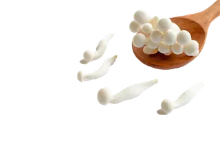 海鲜菇 (2)超市商品白底图免抠实物摄影png格式图片透明底