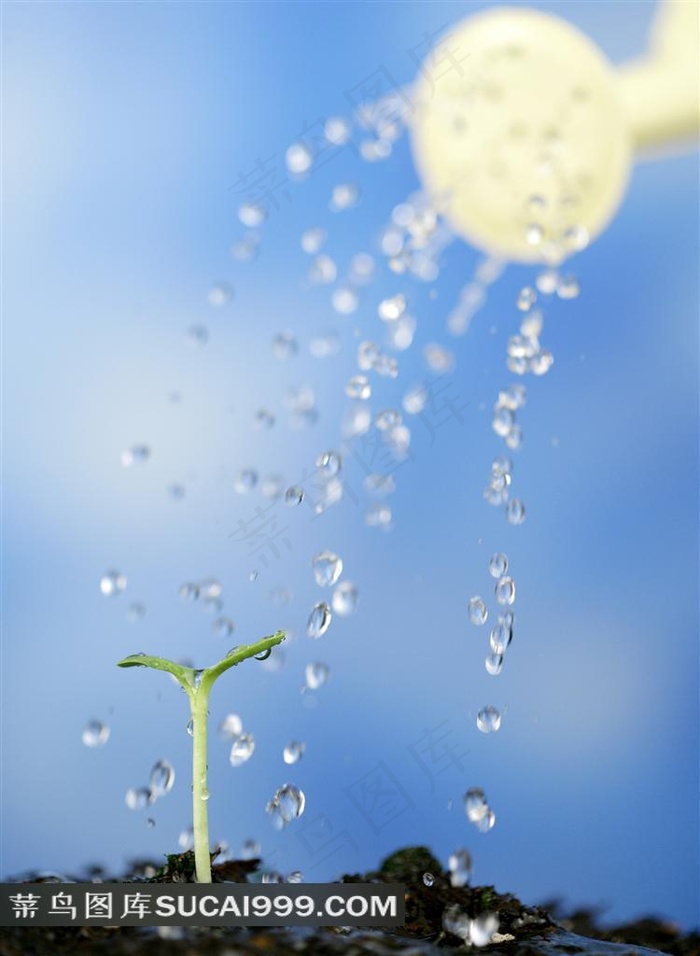 洒水壶正在给新芽浇水