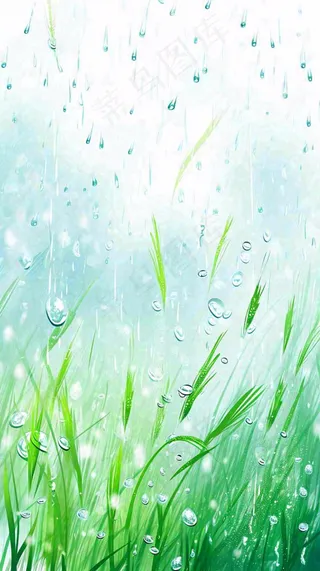春天绿草下雨水珠，雨水，立春，春分