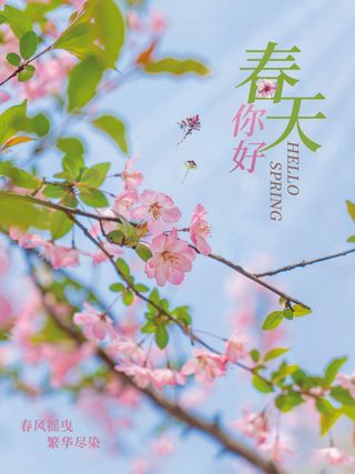 24节气立春春季新春春天海报模板PSD分层设计素材源文件模板