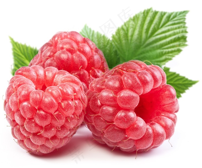 新鲜的树莓覆盆子水果图