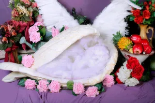 儿童照相拼接背景