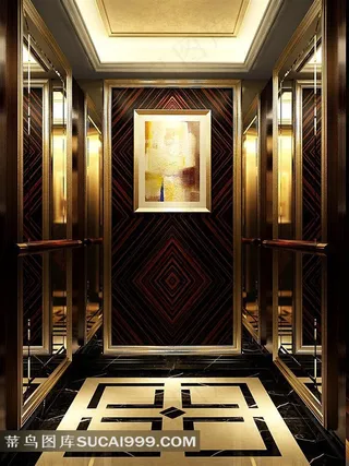 超级豪华高档电梯