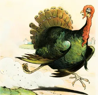 火鸡绘画图片 火鸡绘画图片