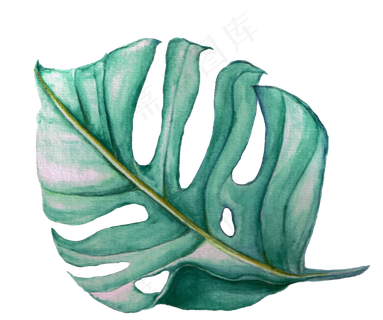 水彩插画-树叶6 水彩插画-树叶6