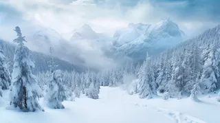 冬日雪景森林山脉摄影图
