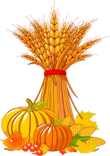 秋季水果收获节花卉立秋健康食品广告