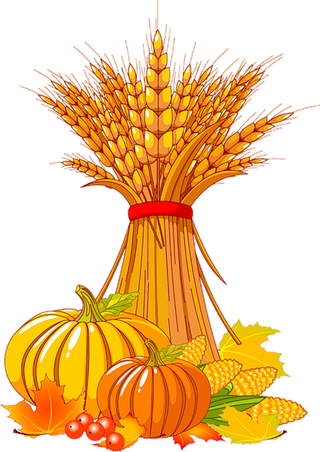 秋季水果收获节花卉立秋健康食品广告