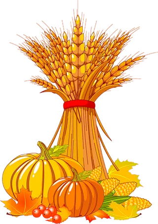 秋季水果收获节花卉立秋健康食品广告