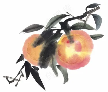 瓜果蔬菜鱼虾蟹设计素材 瓜果蔬菜鱼虾蟹设计素材
