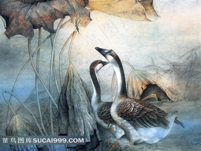 鹅荷叶花鸟图素材