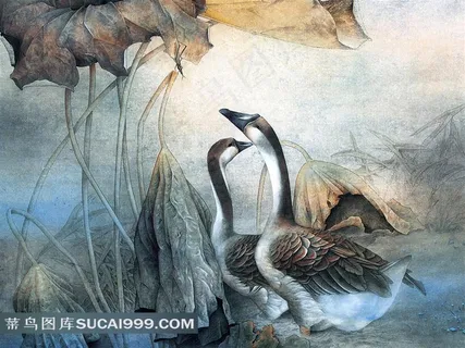 鹅荷叶花鸟图素材