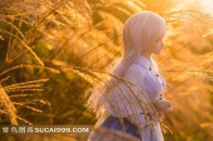 Doll 少女玩偶图片草丛中的白发女孩