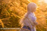 Doll 少女玩偶图片草丛中的白发女孩