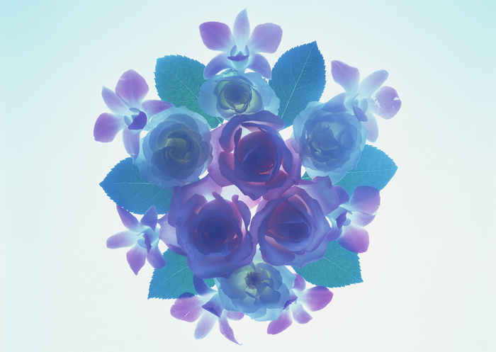 花团锦簇蓝紫花