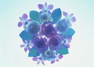 花团锦簇蓝紫花