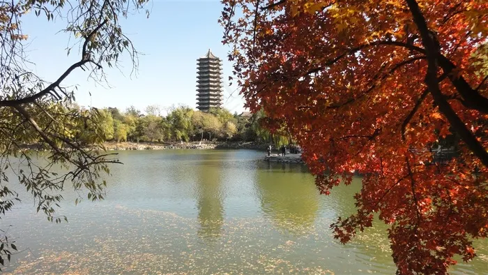 水面上的风景