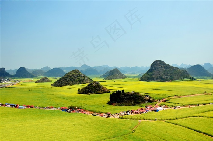 田园风光油菜花图片