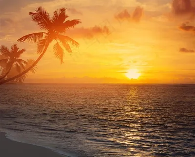 迷人的沙滩椰树落日风景素材