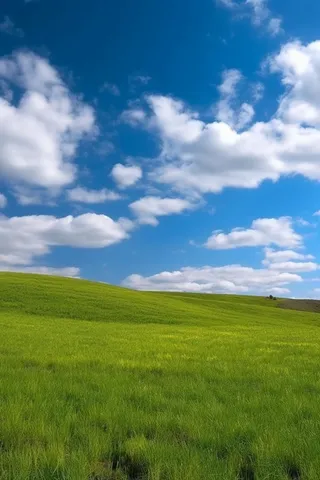 春天的蓝天白云草原很美背景图