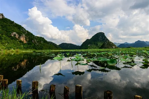 云南普者黑风景素材