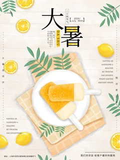 二十四节气大暑海报