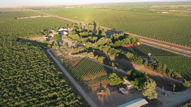 火车, 加利福尼亚州, 酒厂, 铁路, 杏仁, 杏仁农场