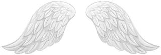 翅膀 PNG免抠