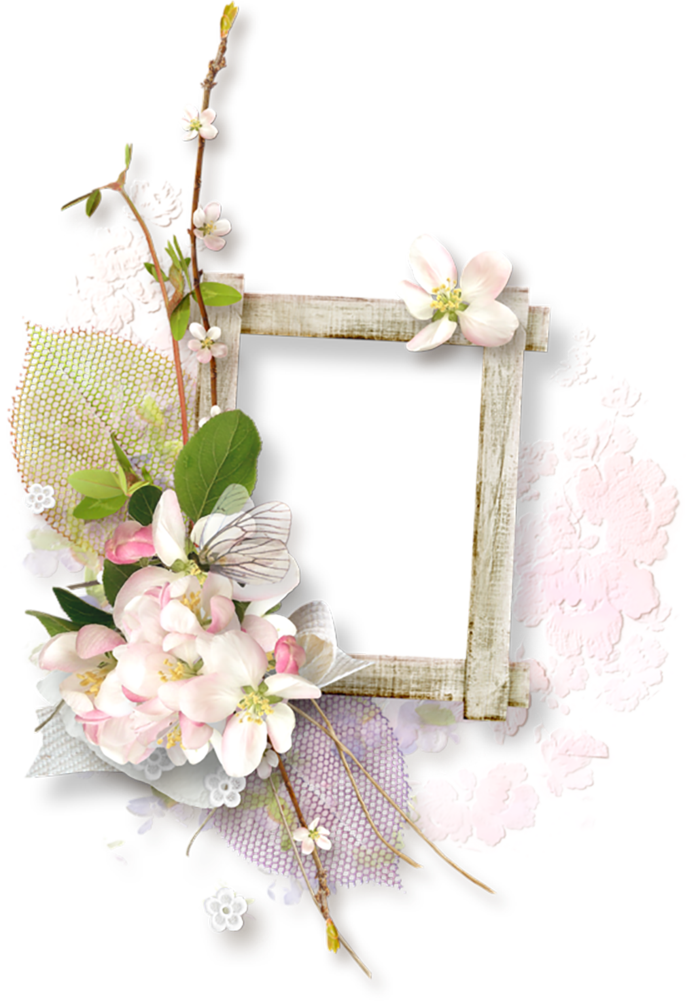 花朵枝丫边框清新谷雨