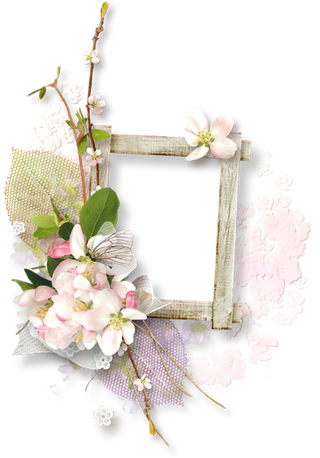 花朵枝丫边框清新谷雨