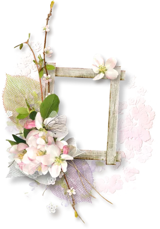 花朵枝丫边框清新谷雨